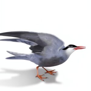 SQL Server Buch O'Reilly Datenbanken Programmierung Praxis-0