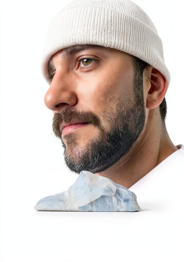 Fast Eddy Canada Buch Englisch 406 Seiten 2025-0